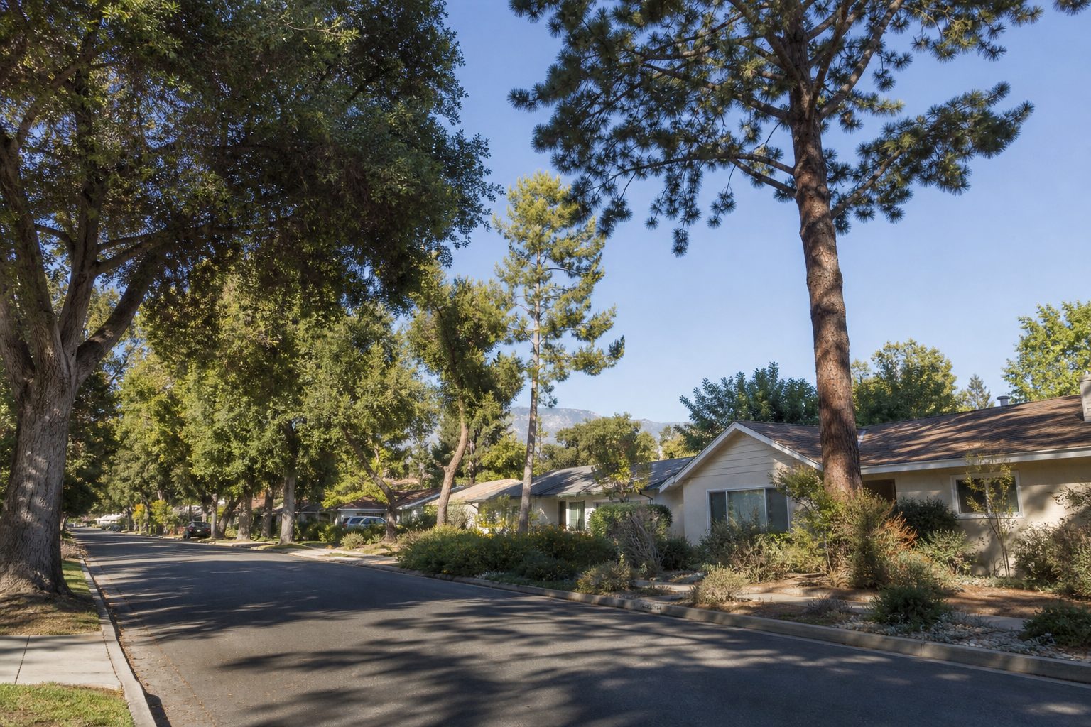 Quiet, tree-lined street in Lake Balboa near the G Line station with mid-century homes and a mature canopy.