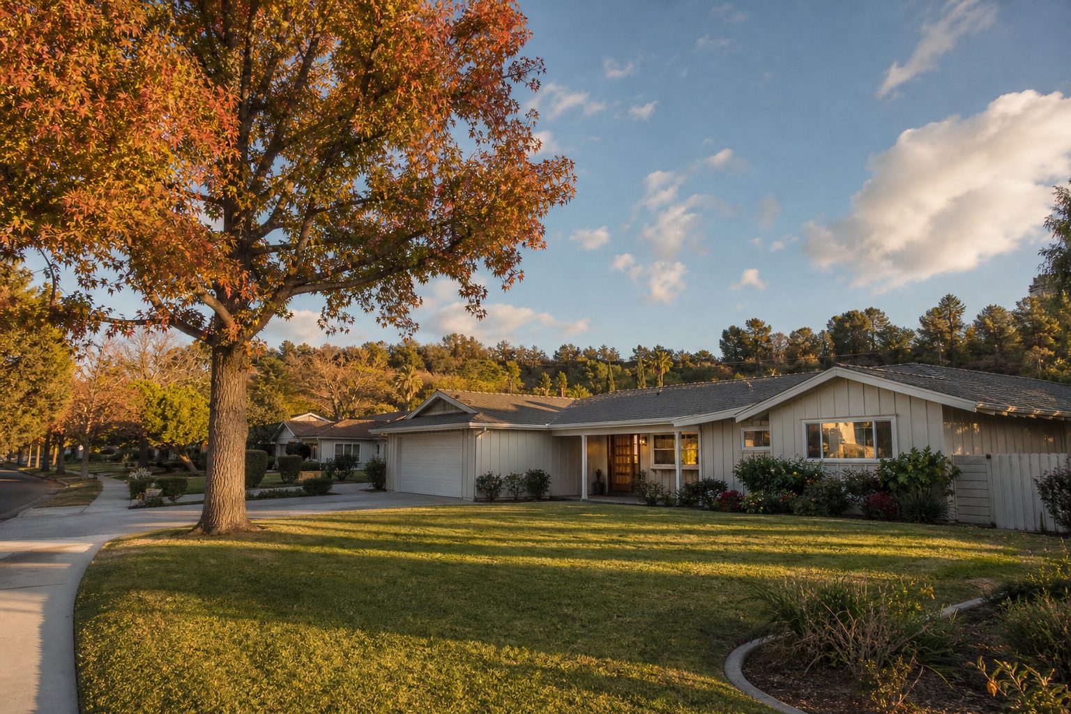 1950s ranch home with wide setback and mature liquidambar tree in Woodland Hills near Pierce College.