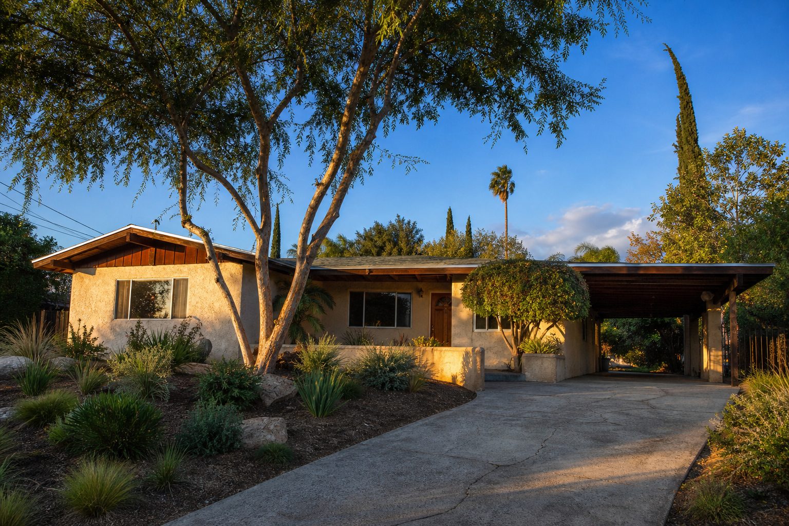 Mid-century ranch home with pepper trees and drought-resistant landscaping in Woodland Hills at golden hour.