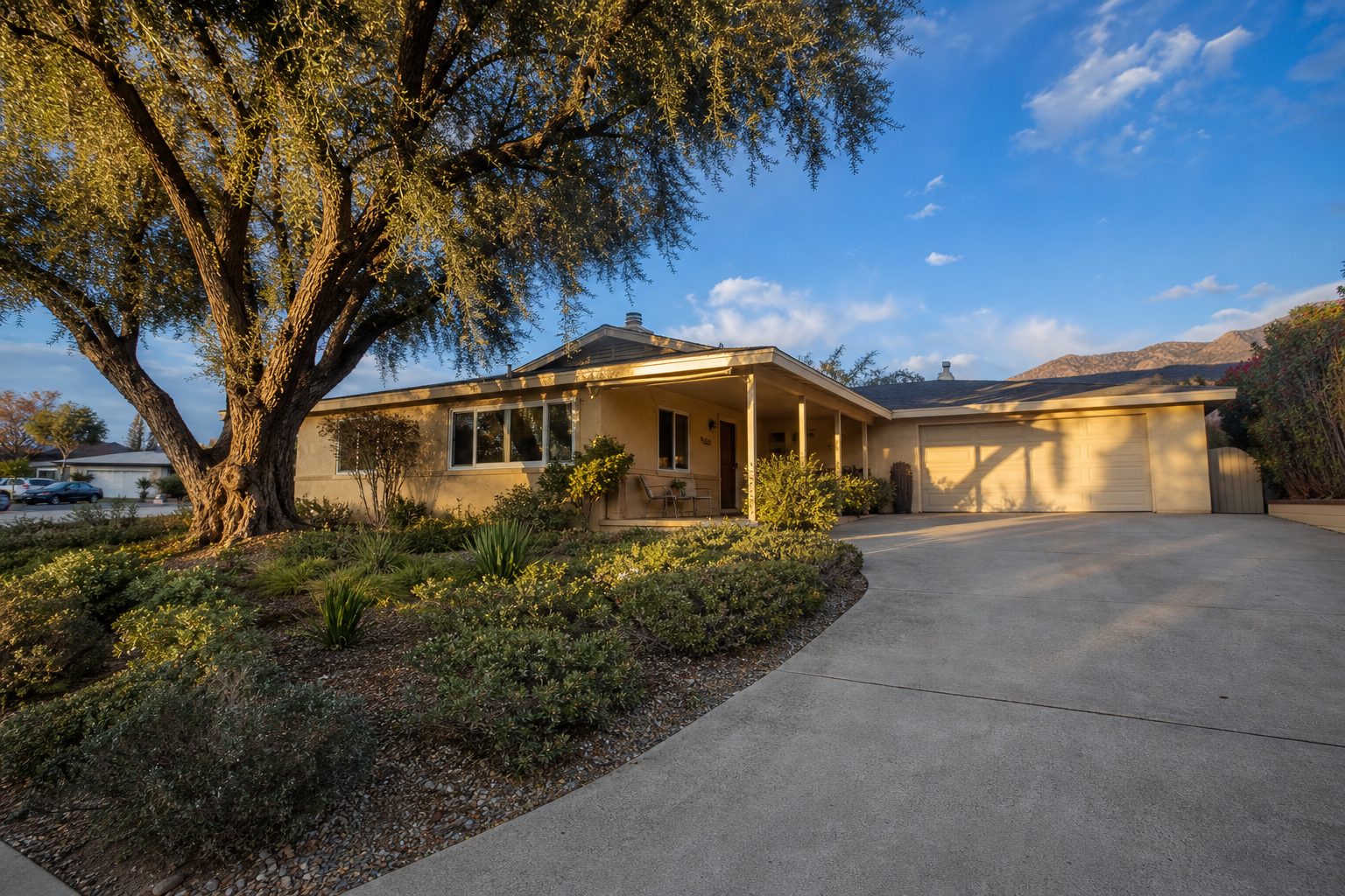 1950s ranch home with pepper tree and stucco facade in North Hills, golden hour side lighting.