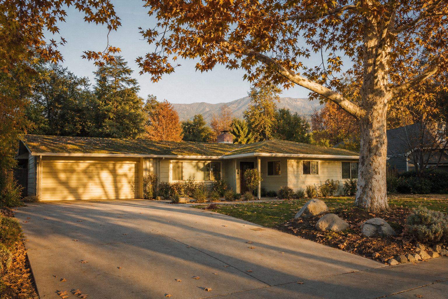 1960s Northridge home with mature trees and deep front setback during golden hour in Sherwood Forest.